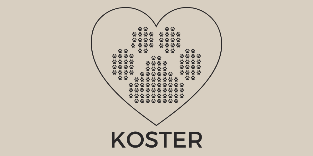 Koster Magallanes